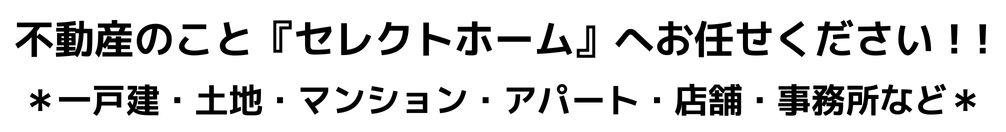 おまかせ